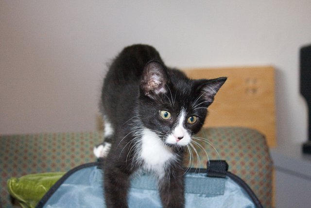 Misha_2008-07-07_0008